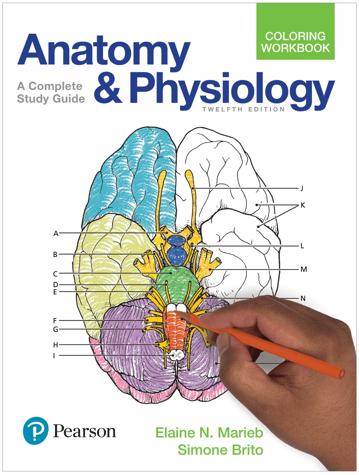 human anatomy 7th edition marieb ebook