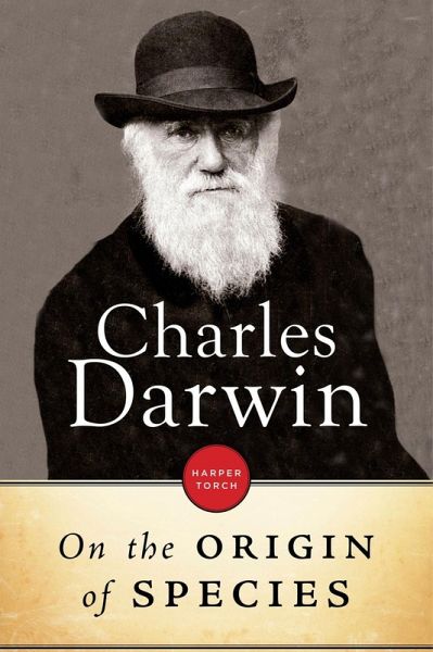 descent of man darwin ebook