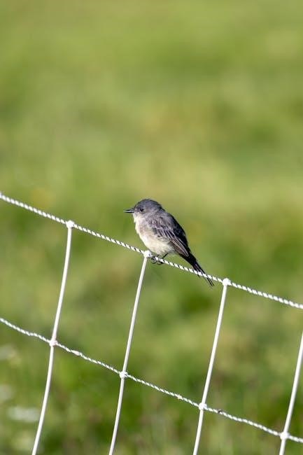 peterson field guide eastern birds peterson field guide eastern birds