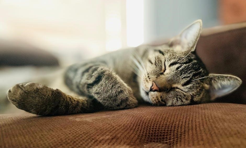 list of legal pets in illinois pdf