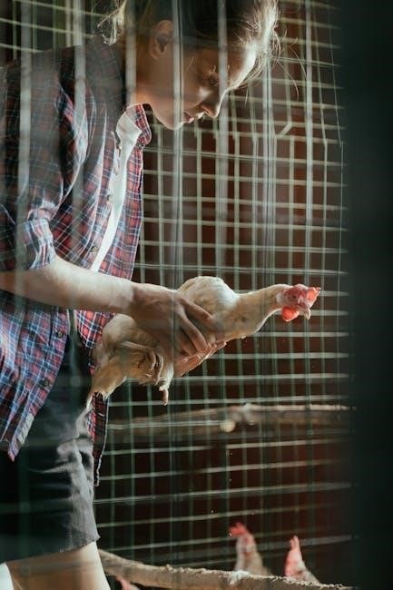 layer chicken feeding guide pdf layer chicken feeding guide pdf